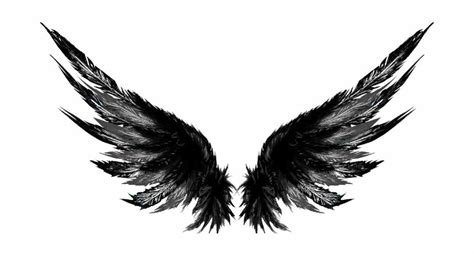 Dark Wings Tattoo Designs Transparent Png Download 780x413 Free