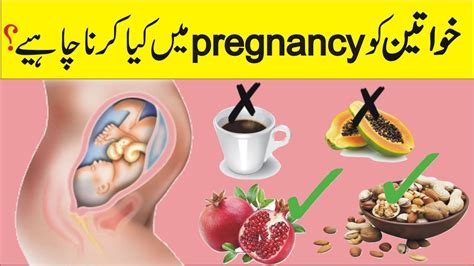 Foods To Eat Avoid During Pregnancy Pregnancy Me Kya Khana Chahiye