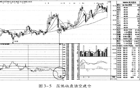 重要时刻盘口分析庄家 跟庄从入门到精通