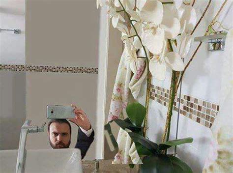 Gt Amigo Gay Wiki Memes Hu Br Amino