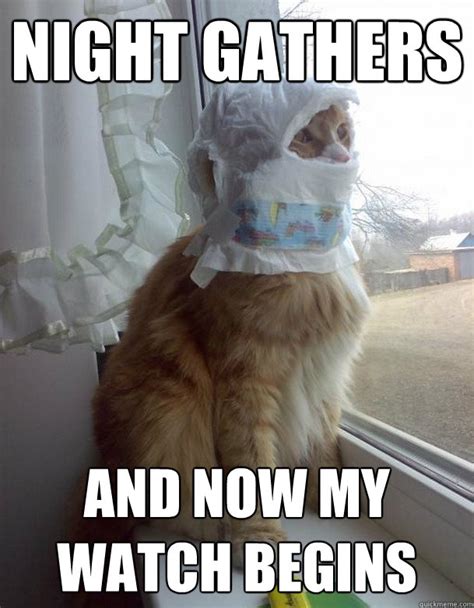 Guard Cat memes | quickmeme