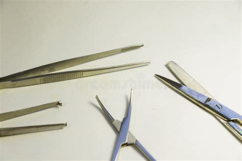 Dissection Kit Premium Quality Stainless Steel Tools For Medical