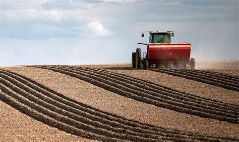 Necessidades financeiras dos setores agrícola e agroalimentar em ...