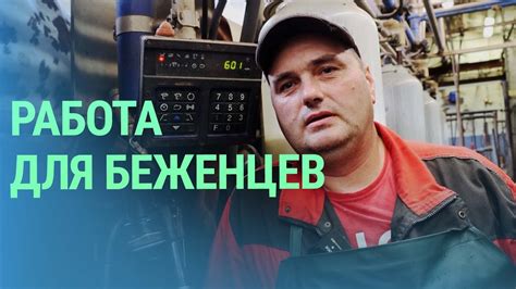 Куда устраиваются работать украинские беженцы в финской провинции - YouTube