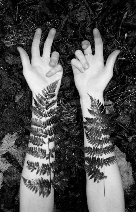 1000+ images about Fern Tattoo on Pinterest | Ferns, New zealand and ...