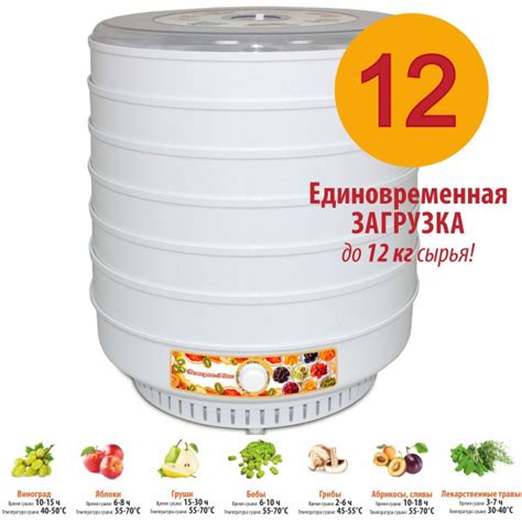 Дегидратор - купить с доставкой по выгодным ценам в интернет-магазине ...