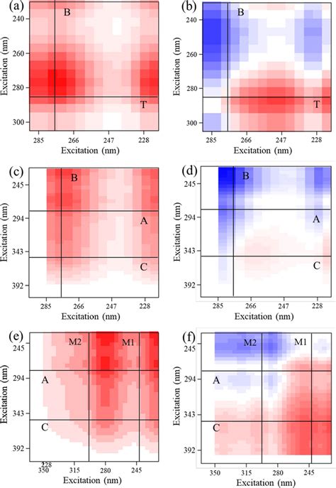 Synchronous And Asynchronous Maps Of Hetero D Cos Of Parafac