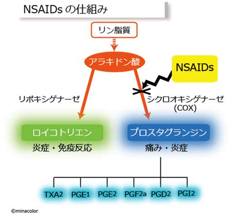 Nsaidsの仕組み