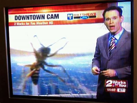 I For One Welcome Our New Insect Overlords The Adventures Of