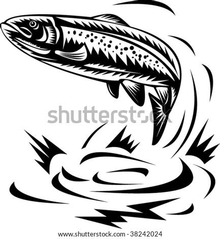 Spotted Speckled Trout Jumping Stock Vector 38242024 - Shutterstock