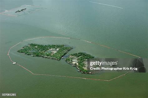 40 Marsh Island (Louisiana) Stock Photos, High-Res Pictures, and Images - Getty Images