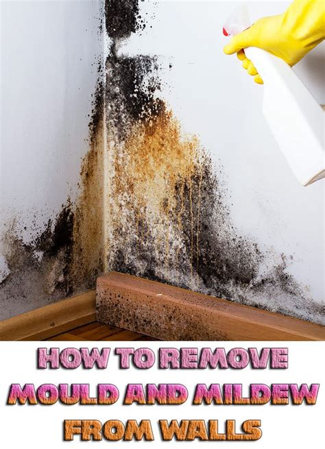 How To Remove Mould And Mildew From Walls Cleaning Mold Remover