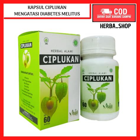 Jual Ciplukan Inayah Obat Stroke Ampuh Terbukti Herbal Suplemen Untuk