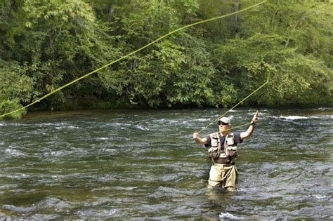 ¿cómo Obtener Una Licencia De Pesca En Walmart 《2024》 ️ ️