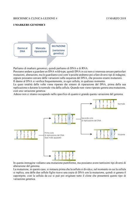 Biochimica Clinica Lezione Warning Tt Undefined Function