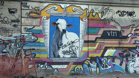 Graffiti Cow Rio - Free photo on Pixabay