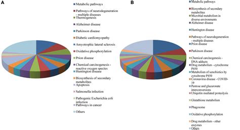 Frontiers Isobaric Tags For Relative And Absolute Quantification