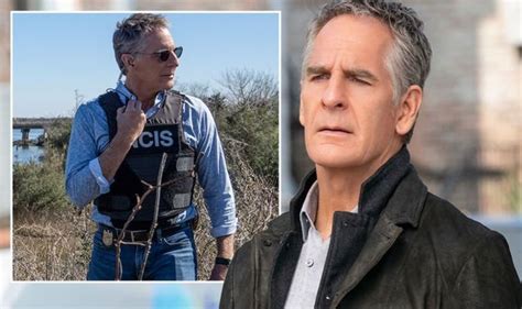 Ncis Hawaii Pride Tipped To Head Spin Off In New Theory As New Orleans End Date Announced Tv