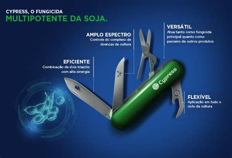 Fungicida Cypress | Portal Syngenta