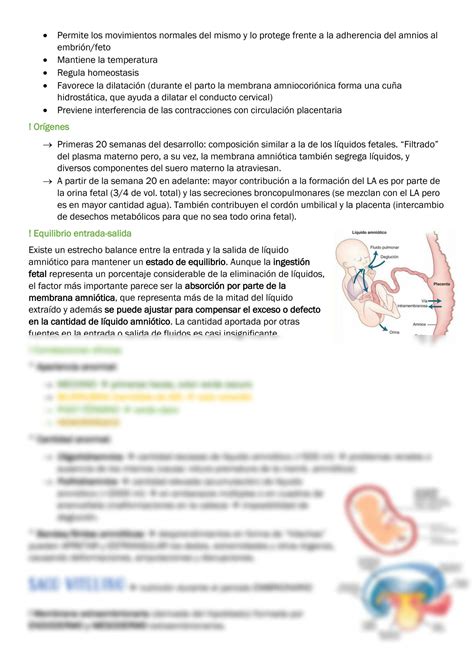 Solution Embrio Semana Anexos Embrionarios Studypool