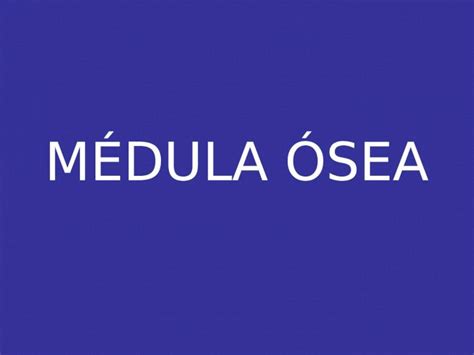 Ppt Histolog A De La M Dula Sea Dokumen Tips