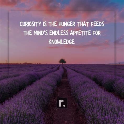 150+ Curiosity Quotes that Encourage Questioning and Growth