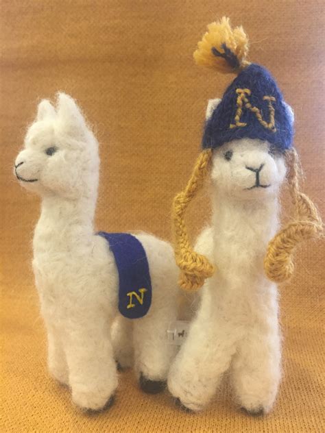 Accessories Alpaca International