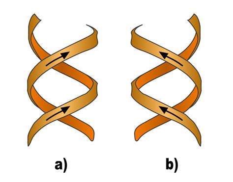 Difference Between Dextrorotatory and Levorotatory | Compare the ...