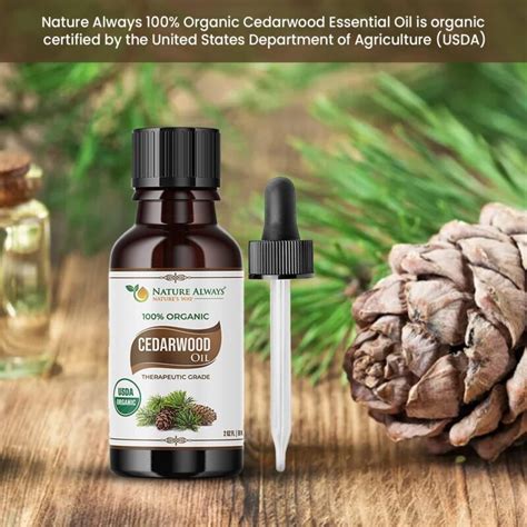 Buy Organic Cedarwood Essential Oil For Hair And Skin Nature Always