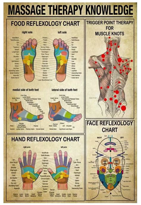 Foot Reflexology Chart Vector Illustration Royalty Free