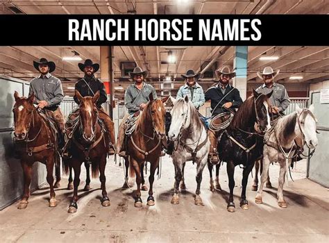 Ranch Horse Names (140+ Inspiring and Meaningful Choices)