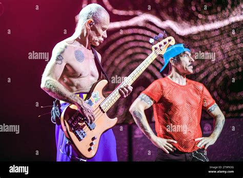 Flea Bass Anthony Kiedis Vocals Red Hot Chili Peppers Live In Buenos Aires Argentina