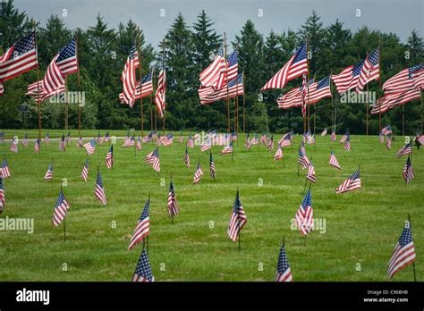 American Flags In Veterans Cemetery On Memorial Day, USA Stock Photo - Alamy