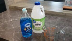 Can You Mix Pine Sol And Vinegar Explained Canyoumix