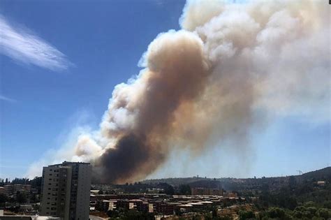 Combaten incendio forestal en el sector del Jardín Botánico de Viña del