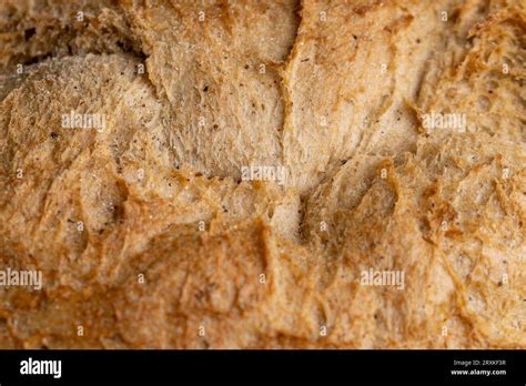 Hard Crisp Crust Of A Freshly Baked Loaf Of Bread Details Of A Loaf Of