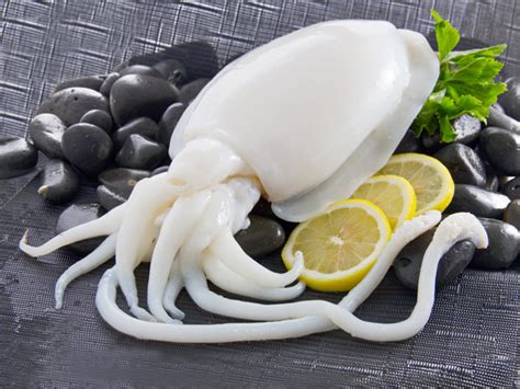 Cephalopod Products Binh Phu Seafood Company