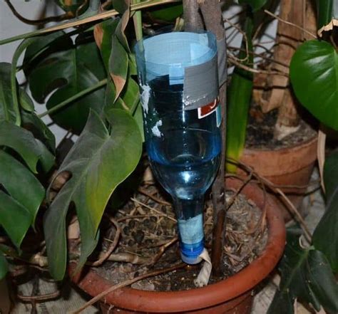 How To Build DIY Drip Irrigation System For Potted Plants | Gardenoid