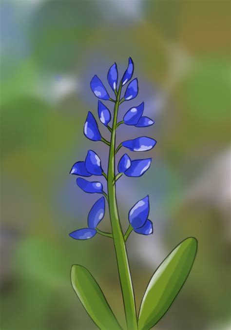 How To Draw A Bluebonnet Blue Bonnets Flower Art Drawings