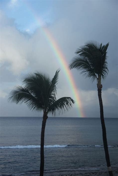 Maui Rainbow | Rainbow photography, Scenery pictures, Beautiful nature