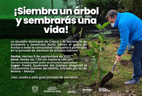 Details 48 fechas para plantar árboles Abzlocal mx