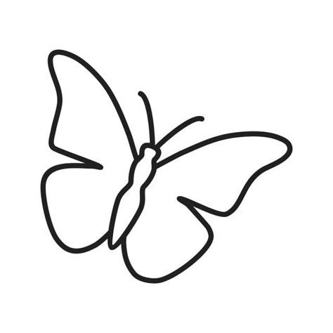 Butterfly Line Icon Fly Drawing Line Icons Butterfly Icons PNG And