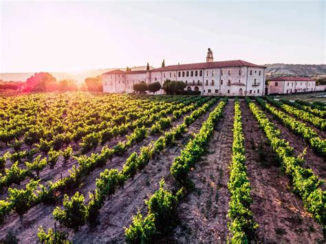 +8 Viñedos en Mendoza: Pasión y amor por el vino ¡CONOCELOS!