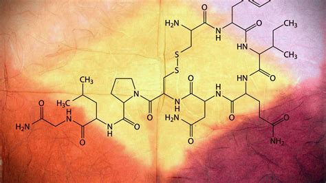 How scientists fell in and out of love with the hormone oxytocin - Vox