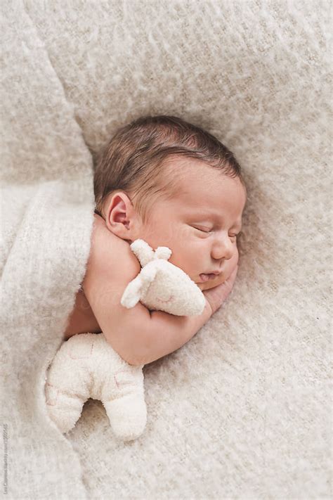 Newborn Baby Sleeping And Hugging Her Plush Toy By Stocksy