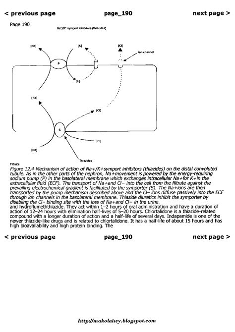 Filtration, passive membrane transport - Big Chemical Encyclopedia