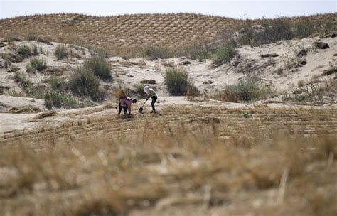 Xi Focus Xi Leads China S Fight Against Desertification With Historic