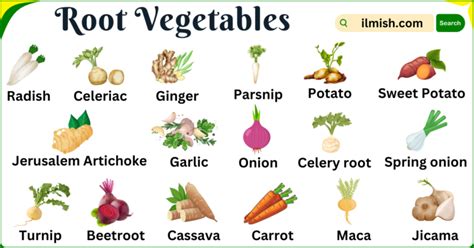 Types of Root Vegetables Names in English and Their pictures - ilmish