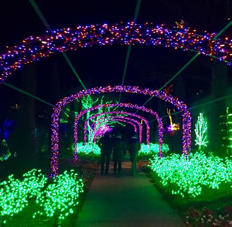 Holiday Lights at Cheekwood Botanical Gardens - JEAN OSHIMA