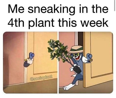 Plant Memes For Anyone Needing Some Eco-Friendly Happiness (24 Memes)